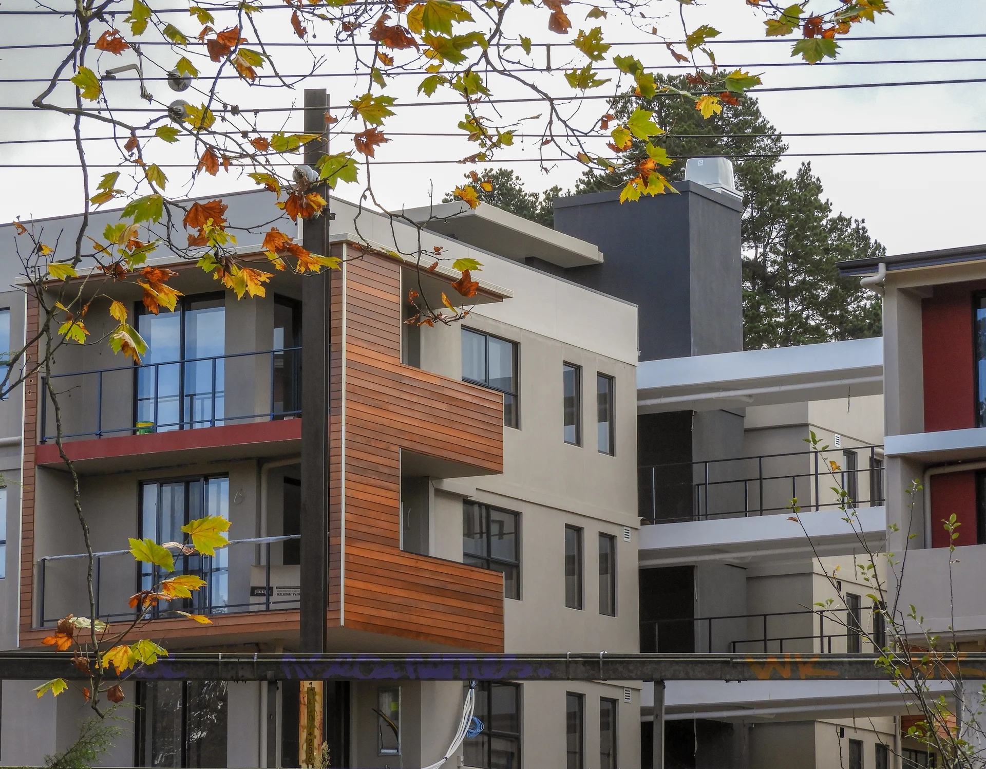 Photography Portfolio - Image 35